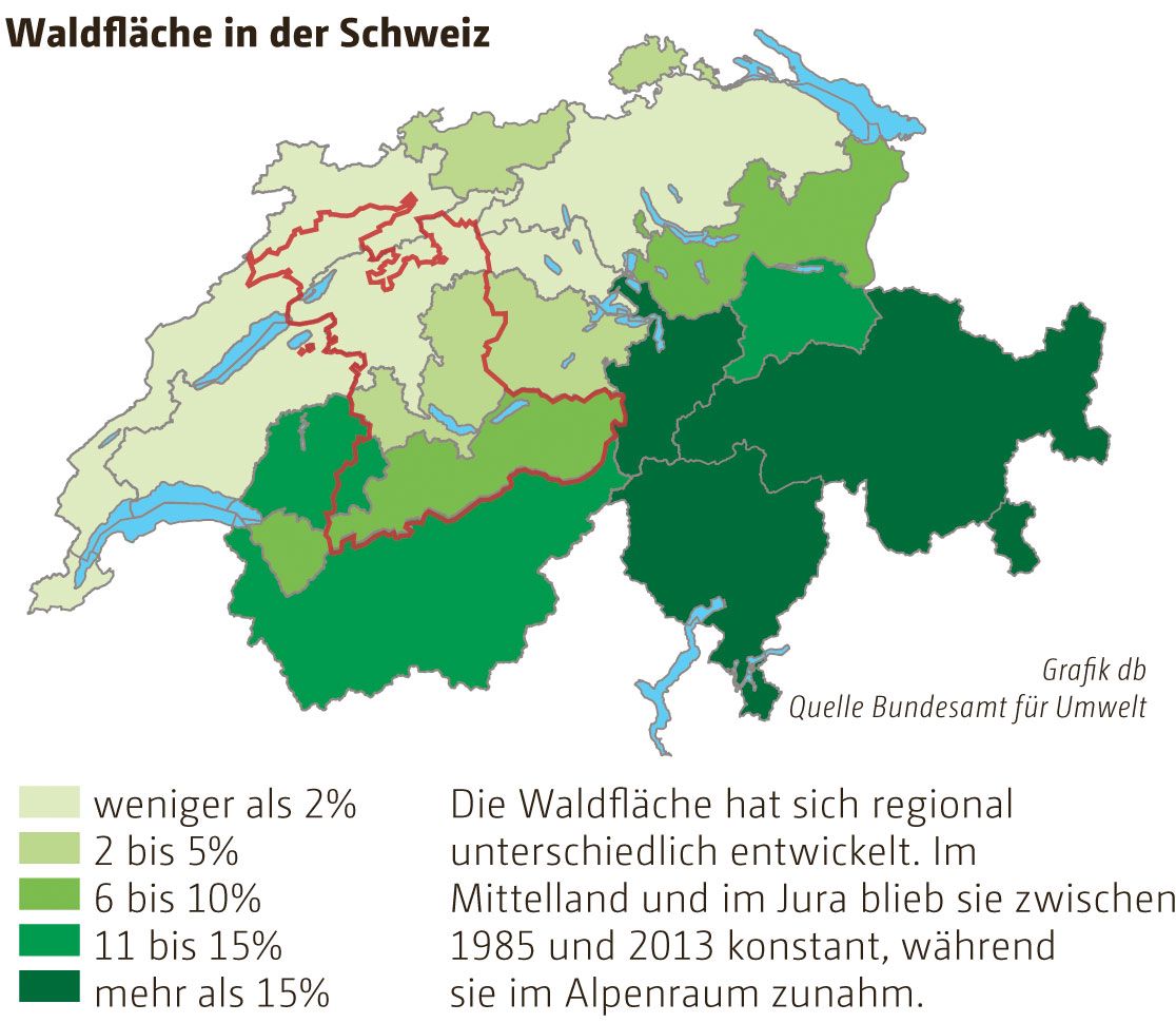 Der Wald Erobert Die Berge Zur ck Berner Zeitung der-wald-erobert-die-berge-zur-ck-berner-zeitung