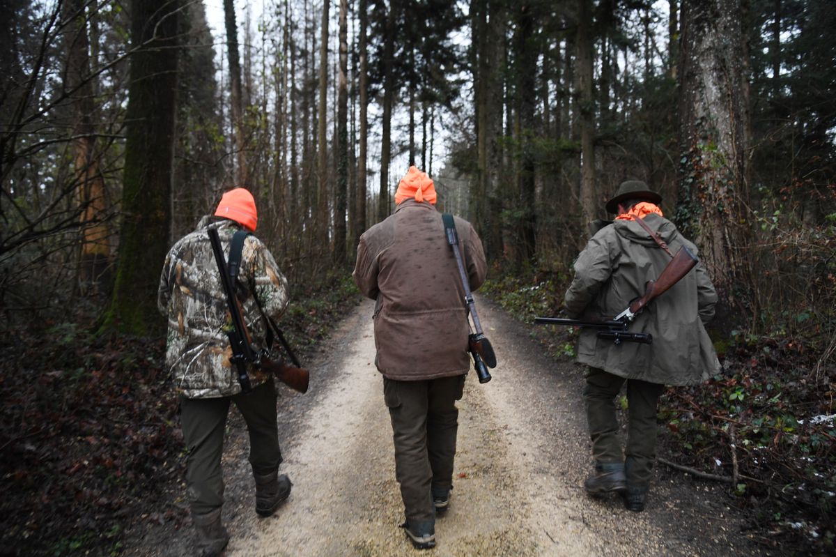 Reportage von der Treibjagd in Altikon - Jaeger Reto Gruber und Jagdkollegen bringen sich in Position.