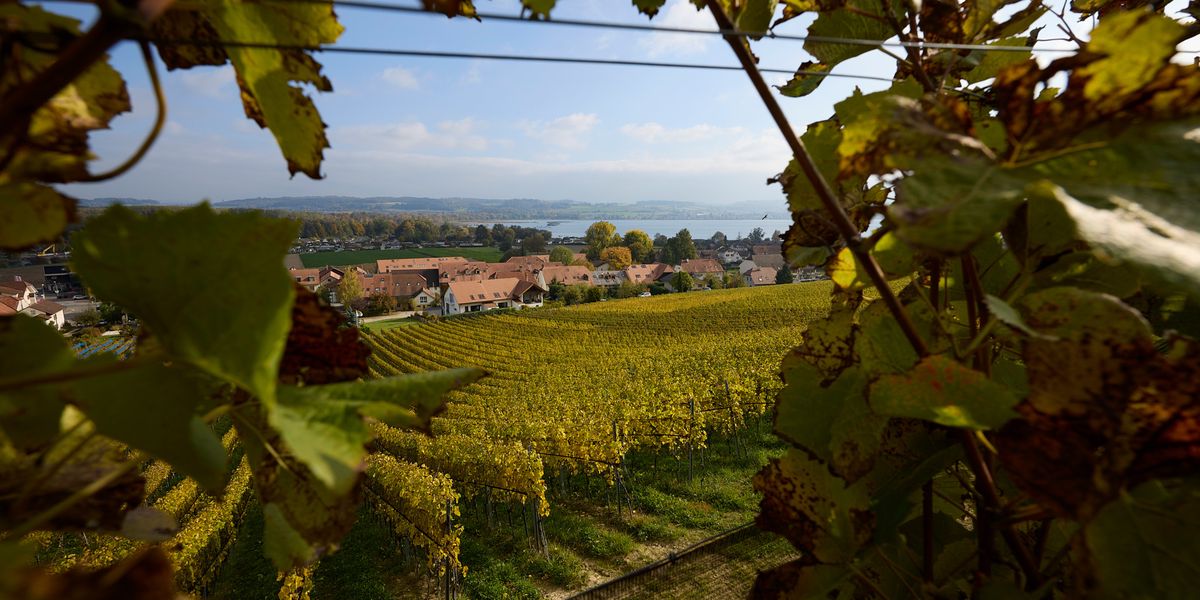 Weather Forecast: Sunny Thursday Followed by Heavy Rain in French-speaking Switzerland