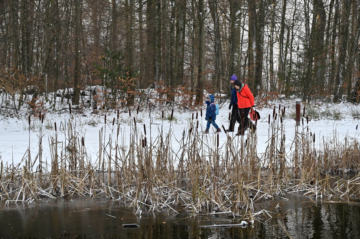 8  janvier 2024   LAUSANNE   lac de Sauvabelin   froid de canard   il fait moins 2 degrés avec du vent    PHOTO: Patrick Martin/24Heures   