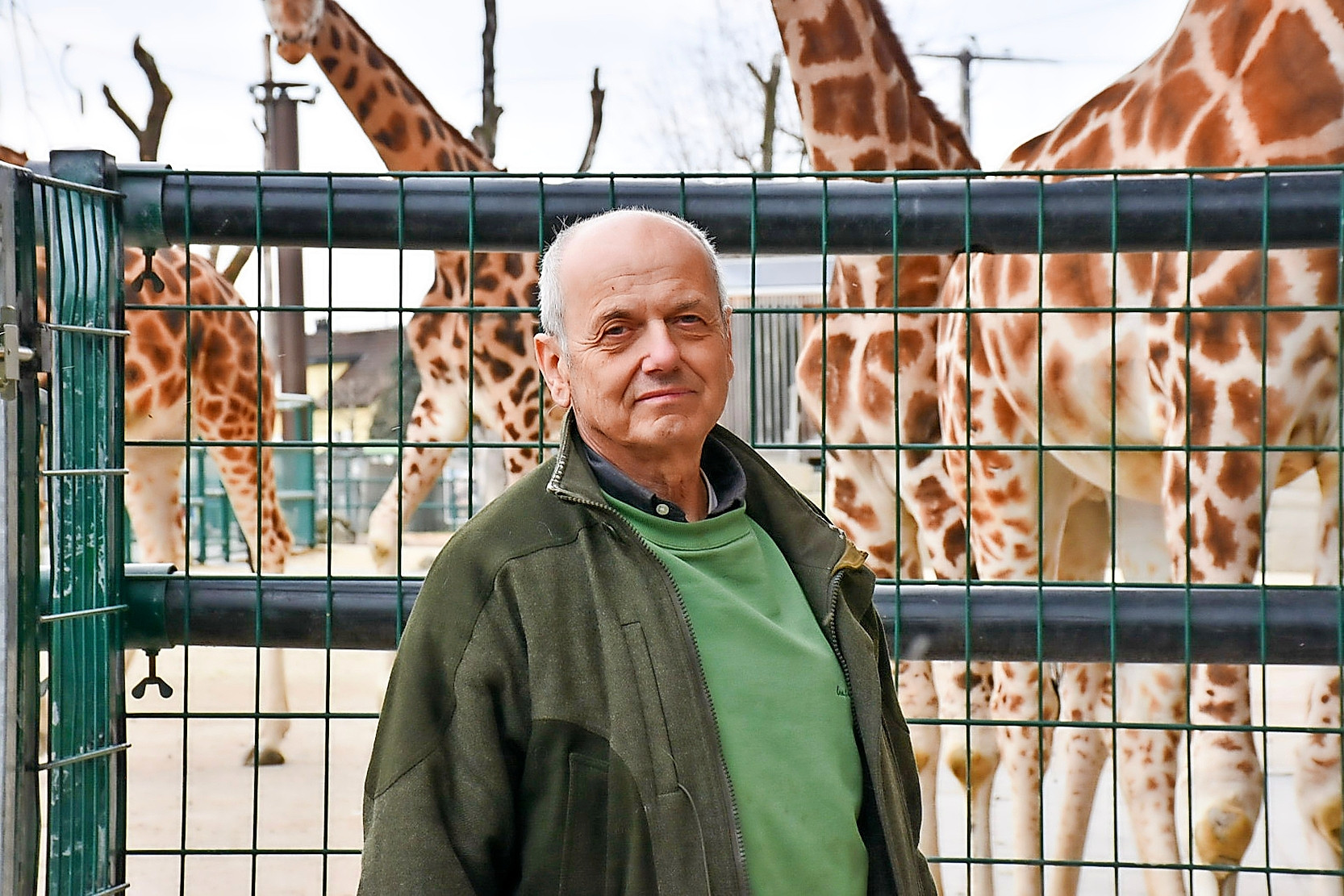 Kinderzoo in Rapperswil: Der Zootierarzt behandelt Giraffen am Kran und spielt Bratsche für Affen