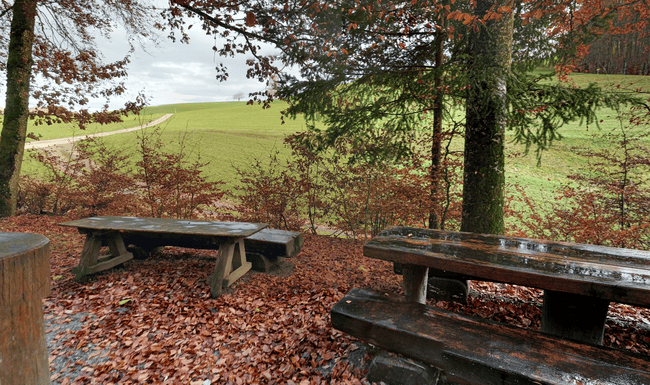 Der Mann wurde durch ein abgebrochenes Stück einer Tanne getroffen und schwer verletzt. Er erlag seinen Verletzungen.