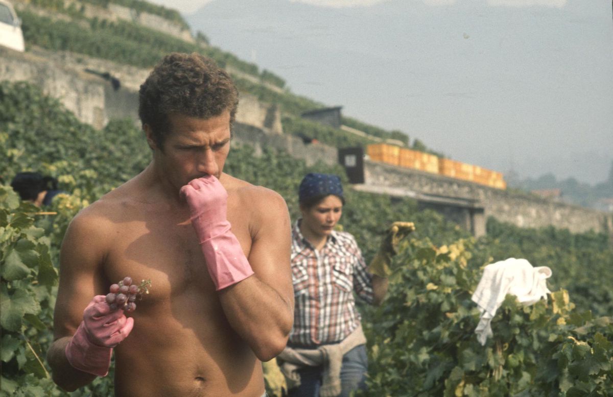 Monique Jacot ne sortait jamais de chez elle, à Epesses, sans son appareil. Elle a immortalisé les travaux de la vigne, notamment pendant les vendanges.