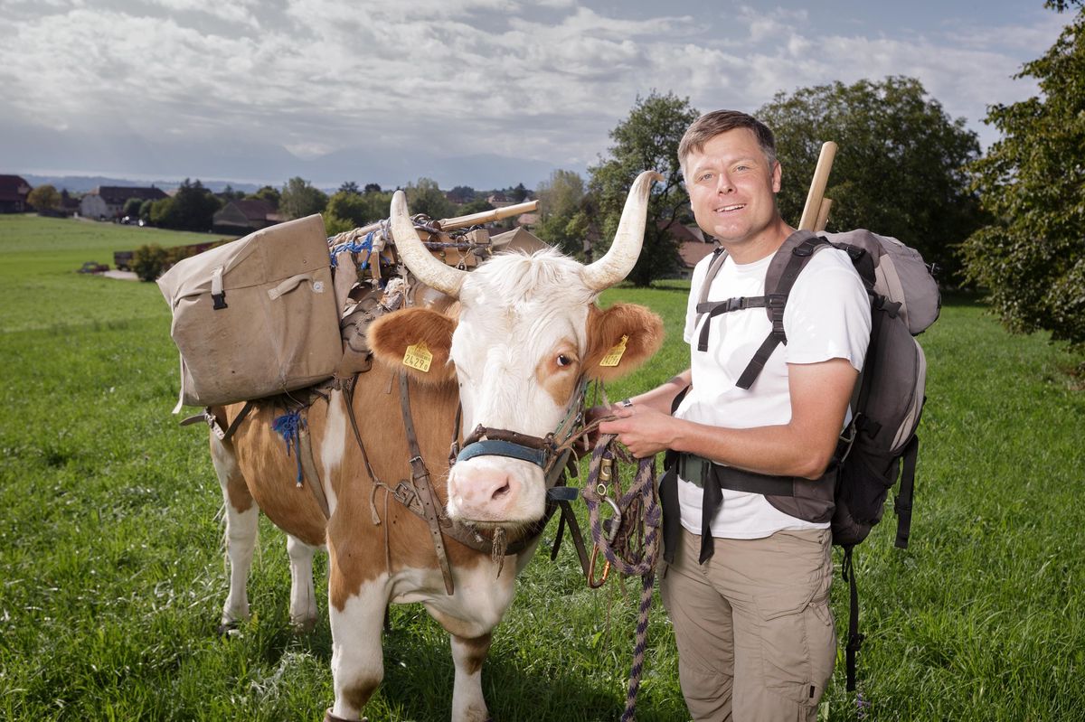 16 septembre 2022 - Gaëtan Dübler, bouvier et son boeuf Léo.