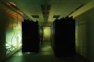 Eckdaten: Wisekey steigert Umsatz 2025 um 58% und erwartet weiteres Wachstum