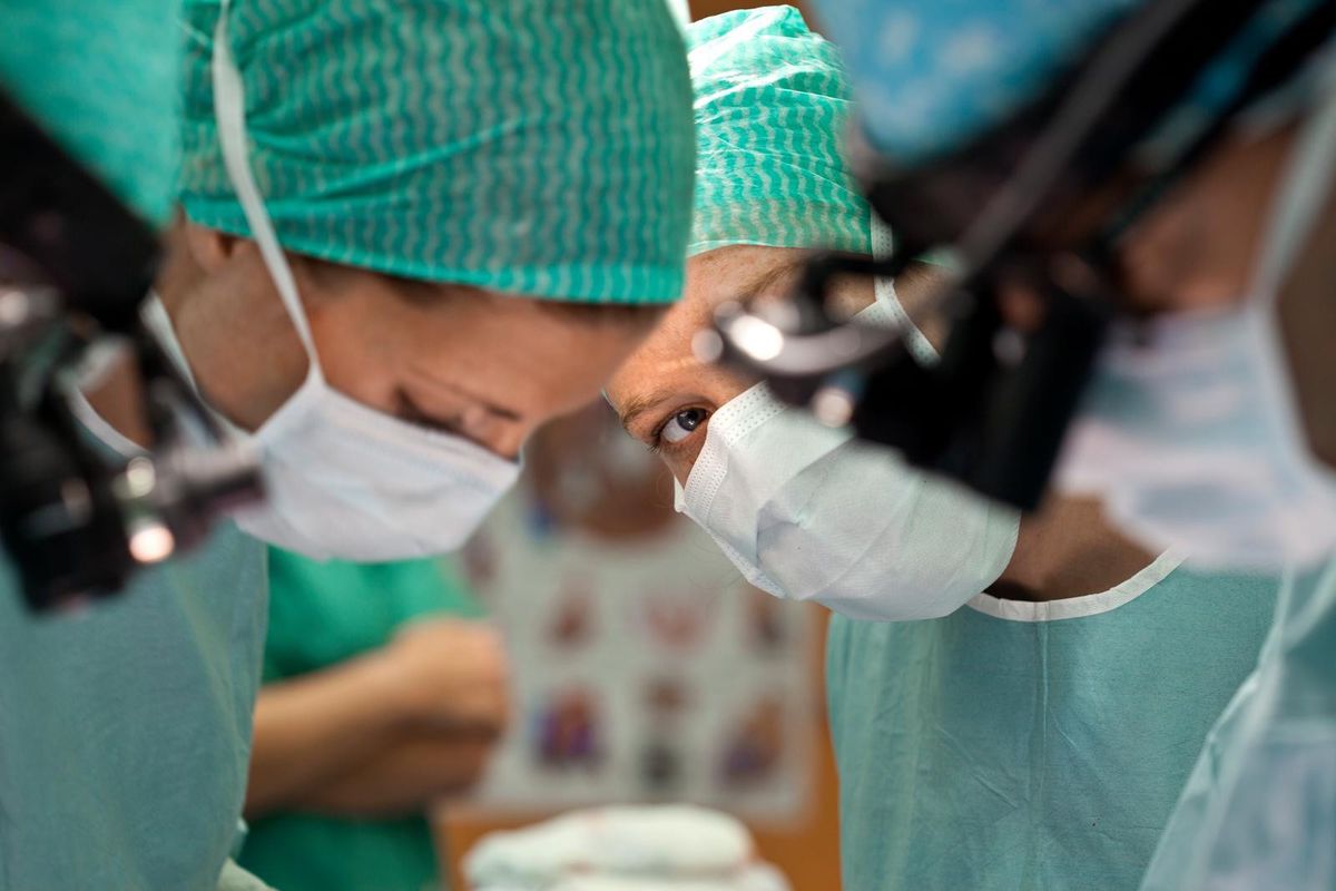Organspenden: In Bern werden so viele Organe transplantiert wie noch