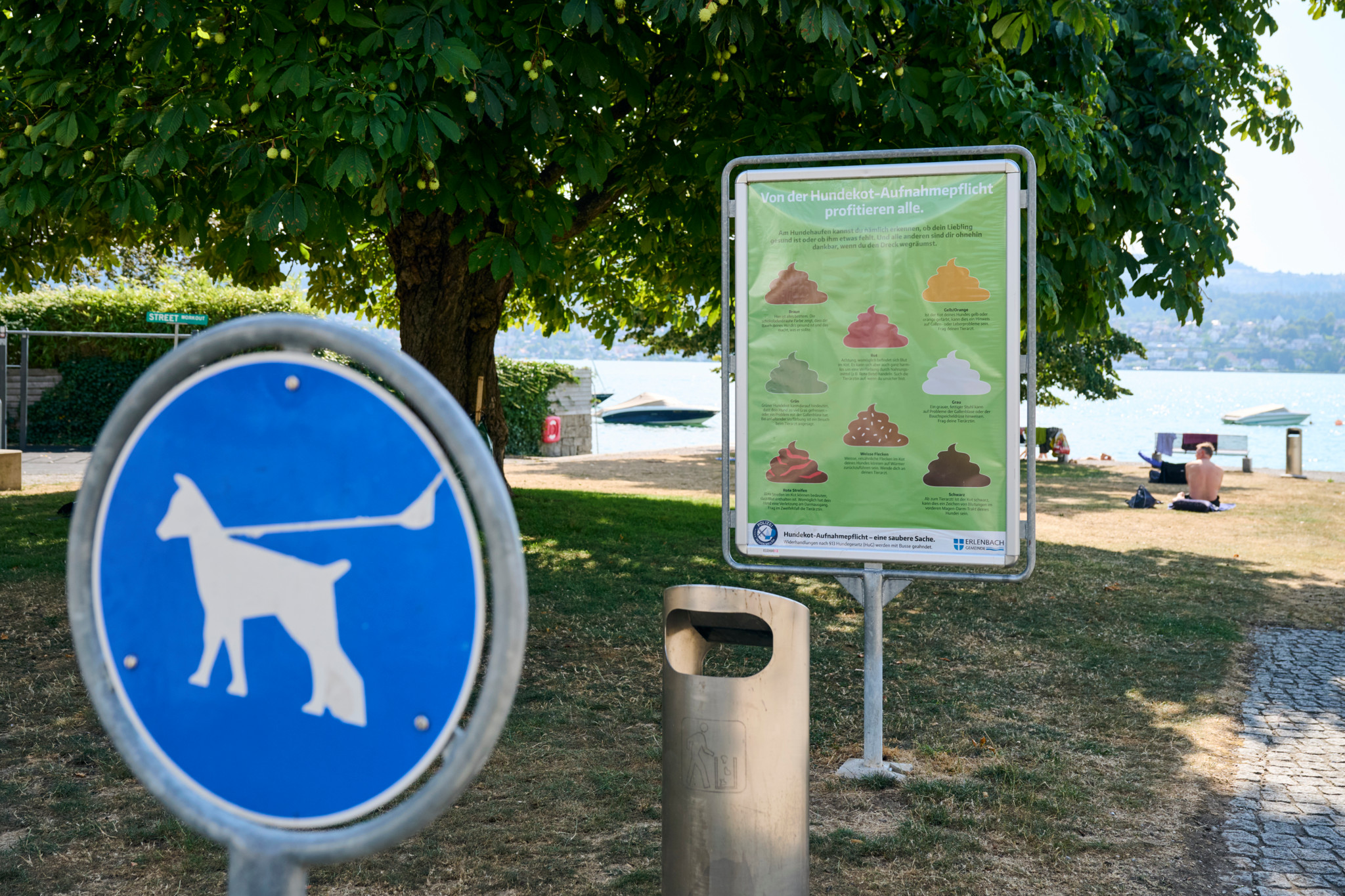 Leinenpflicht-Schild und Infotafel gegen Hundekot im Winkelpark Erlenbach, im Hintergrund der Zürichsee.