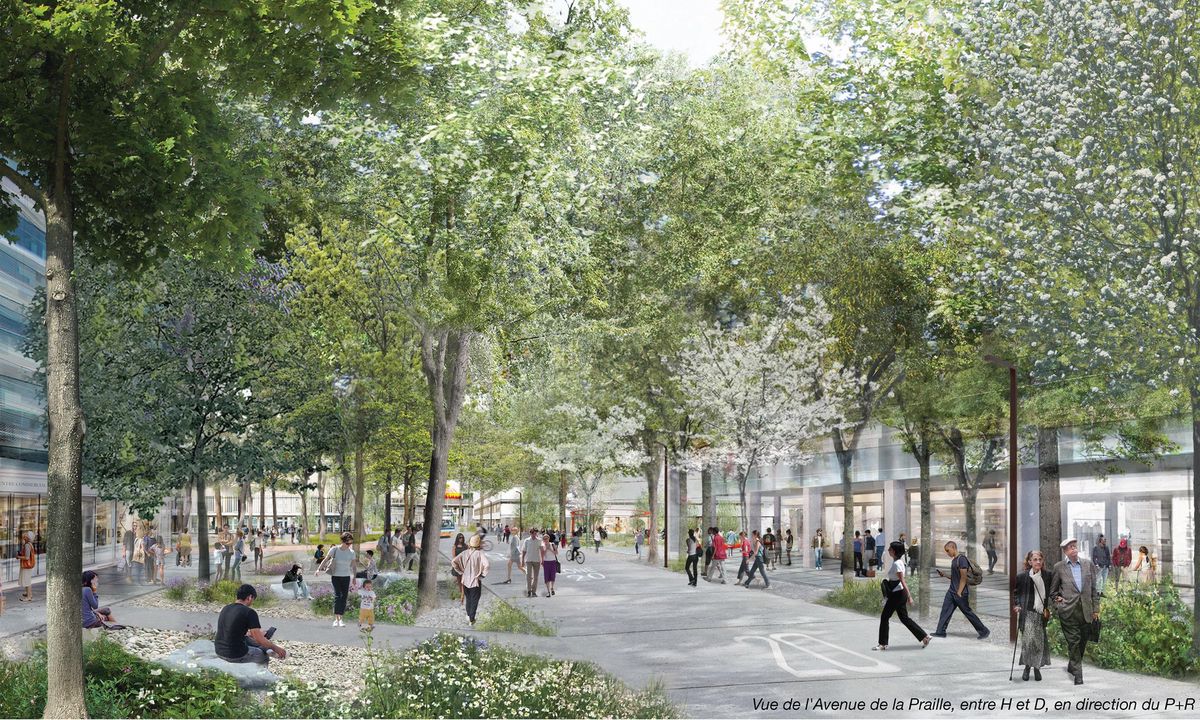 Rue arborée animée de piétons et vélos, avec bâtiments modernes et espaces verts en arrière-plan à Genève.