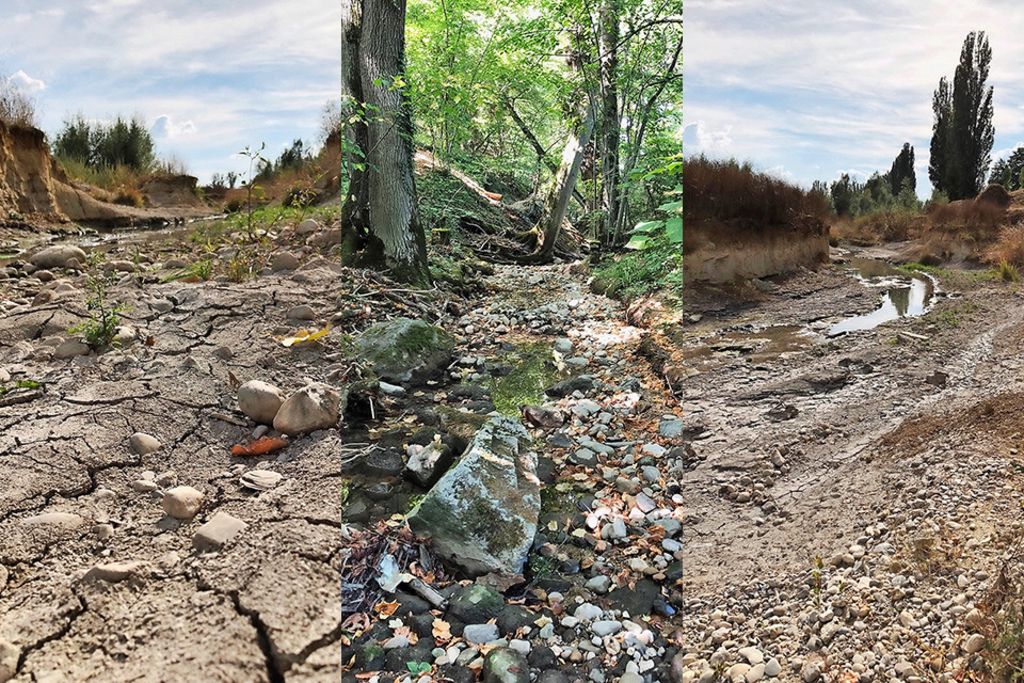 Comment le réchauffement climatique change Genève