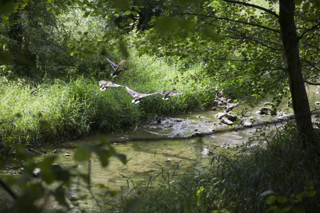 Quatre municipalités unies pour préserver l’Aire