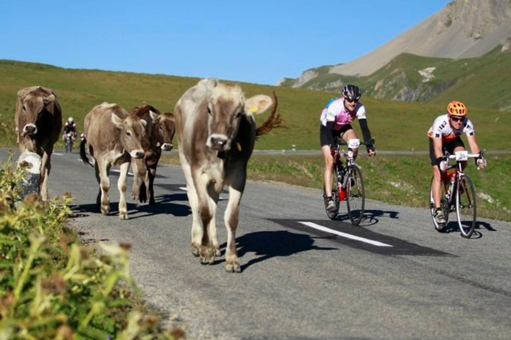 Glissement de terrain sur la route du col de l'Albula