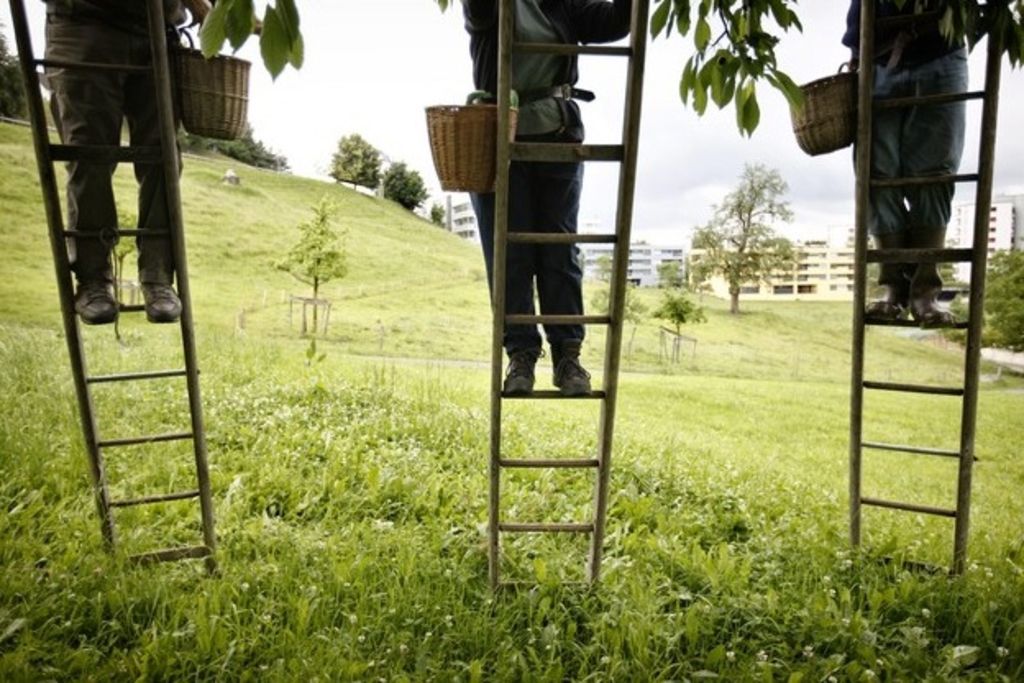 Les deux initiatives agricoles s’écroulent dans les sondages