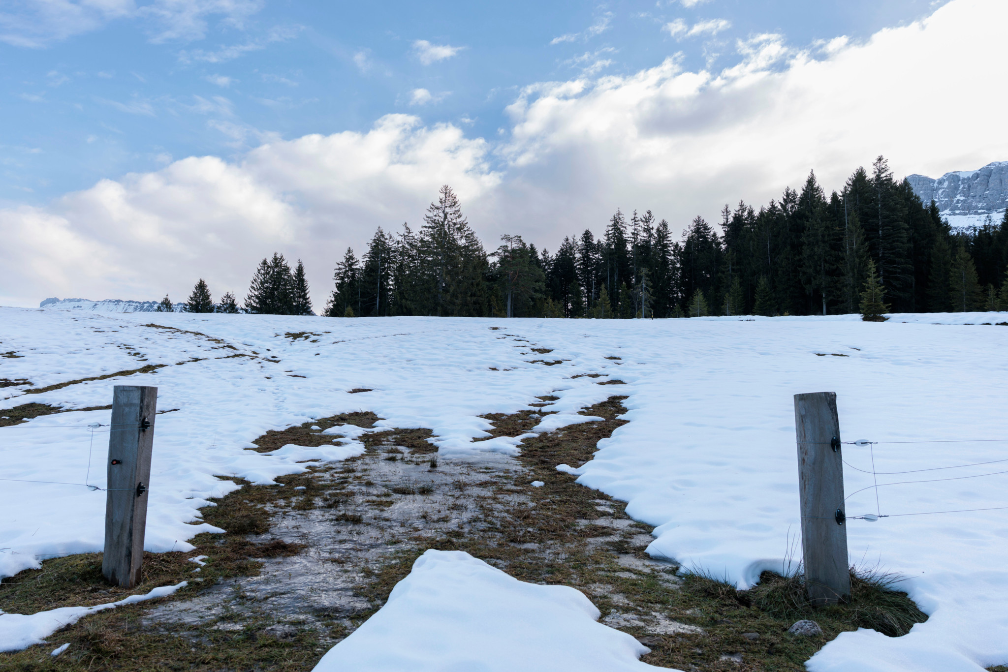 Hochmoor bei Schangnau, verschneite Wiese mit Pfosten im Vordergrund, umgeben von Bäumen, am 20.12.2025.