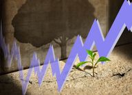 FuW-Börsenspiel: Worauf Anleger bei Wachstumsaktien achten müssen