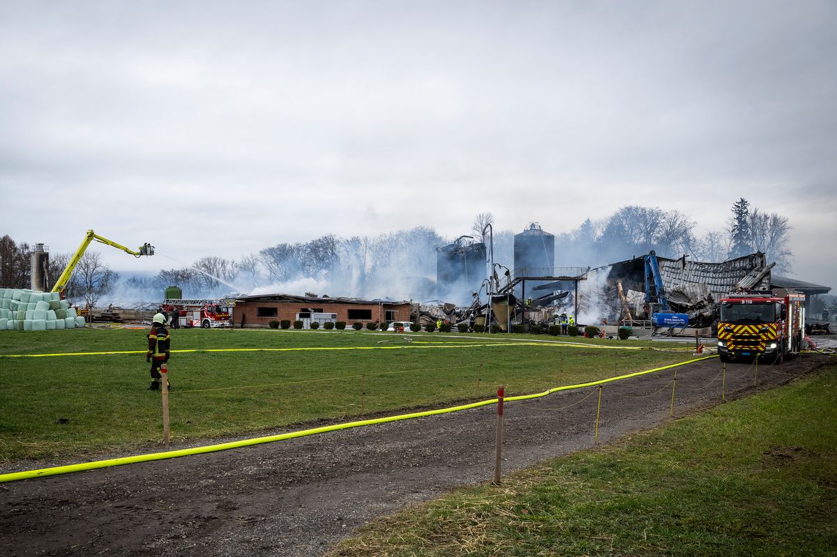 21.12.2023; Bottens; Drame dans le Gros de Vaud; Des dizaines de betes carbonisees dans un incendie; Un incendie a ravage cette nuit la Ferme Frossard a Bottens. De tres nombreuses betes ont peri. Ce matin la ferme brulait encore
Photo Jean-Guy Python

