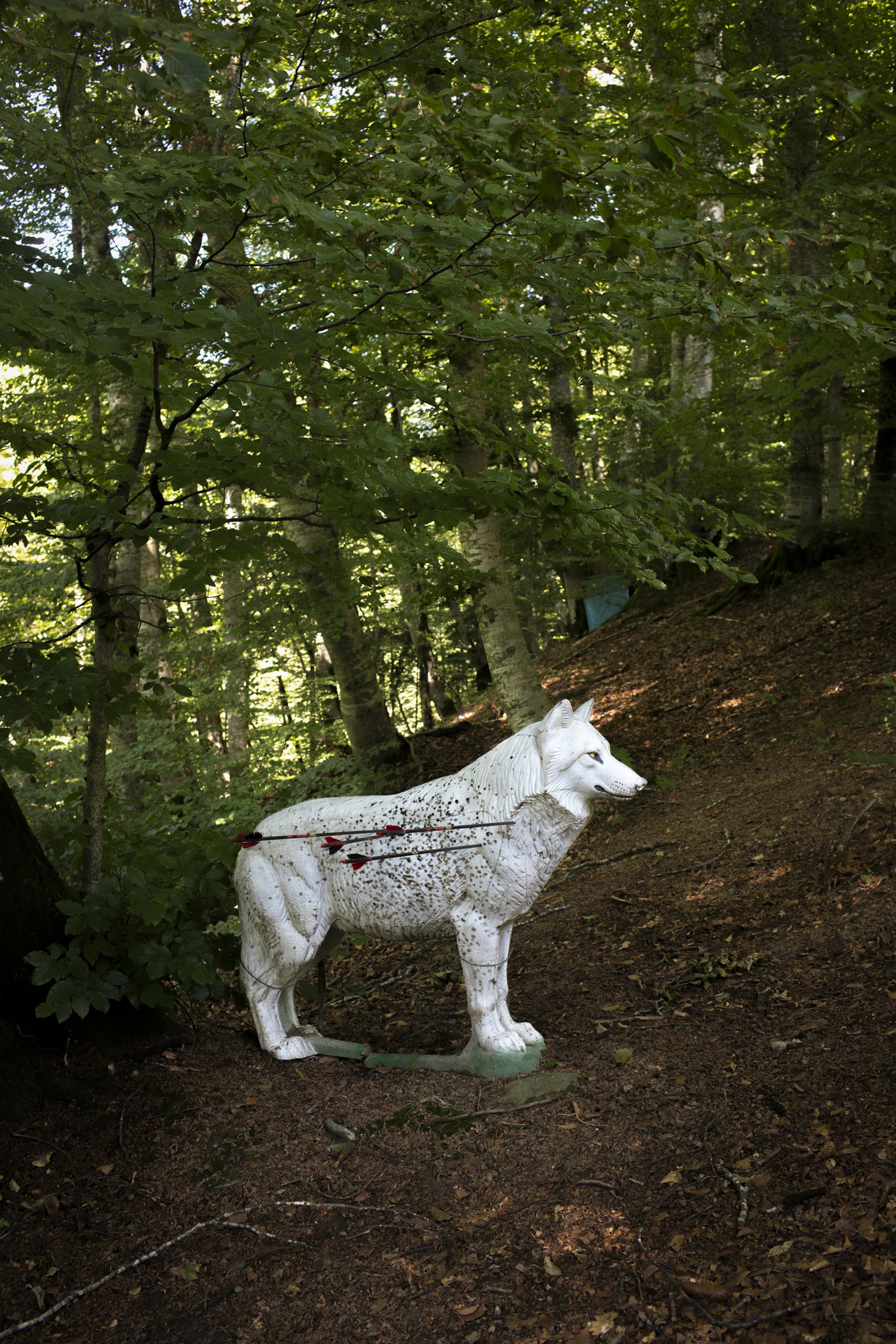 swiss-press-photo-odile-meylan-prim-e-pour-sa-s-rie