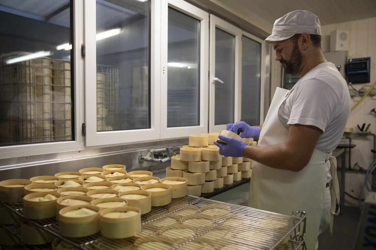 Disponible de l’automne au printemps, le vacherin Mont-d’Or est un produit de saison très intéressant pour les fromageries et les paysans, dont le lait est mieux rémunéré que lorsqu’il est destiné au gruyère.