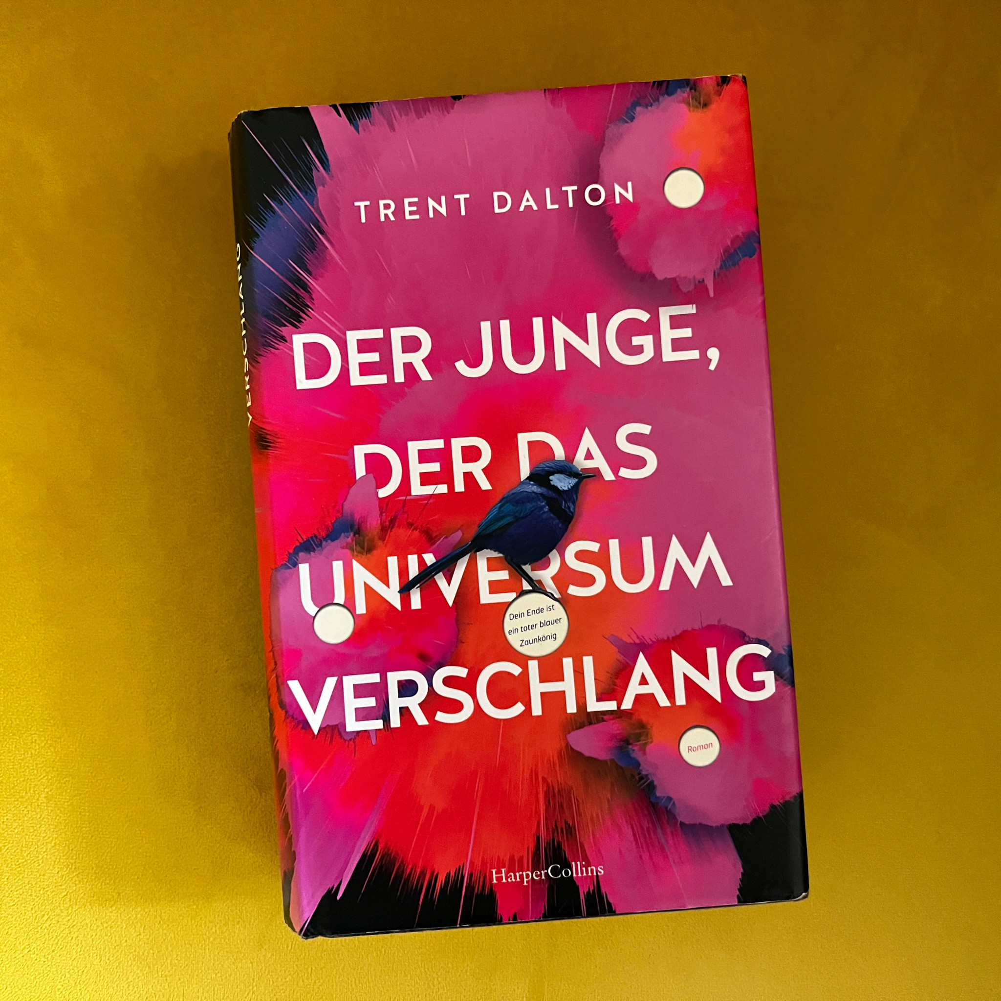 Buchtipp der Woche: Trent Dalton: Ein Kinderblick auf unsere heruntergekommene Welt