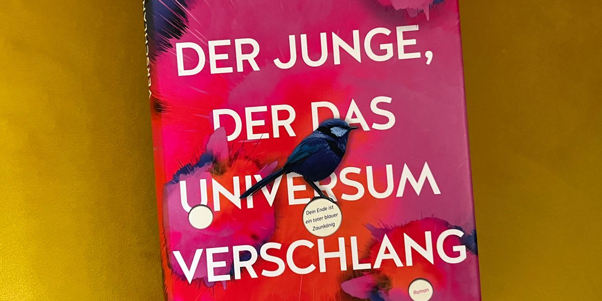 Buchtipp-der-Woche-Trent-Dalton-Ein-Kinderblick-auf-unsere-heruntergekommene-Welt