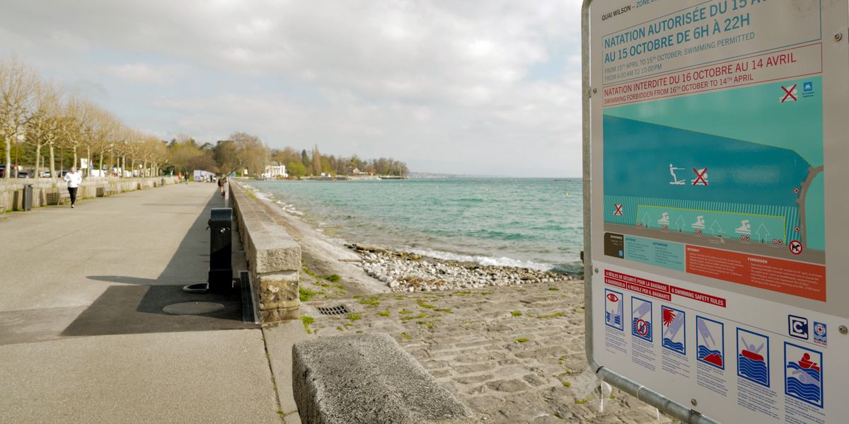 Gen&egrave;ve: une p&eacute;tition r&eacute;clame un acc&egrave;s au lac pour les chiens