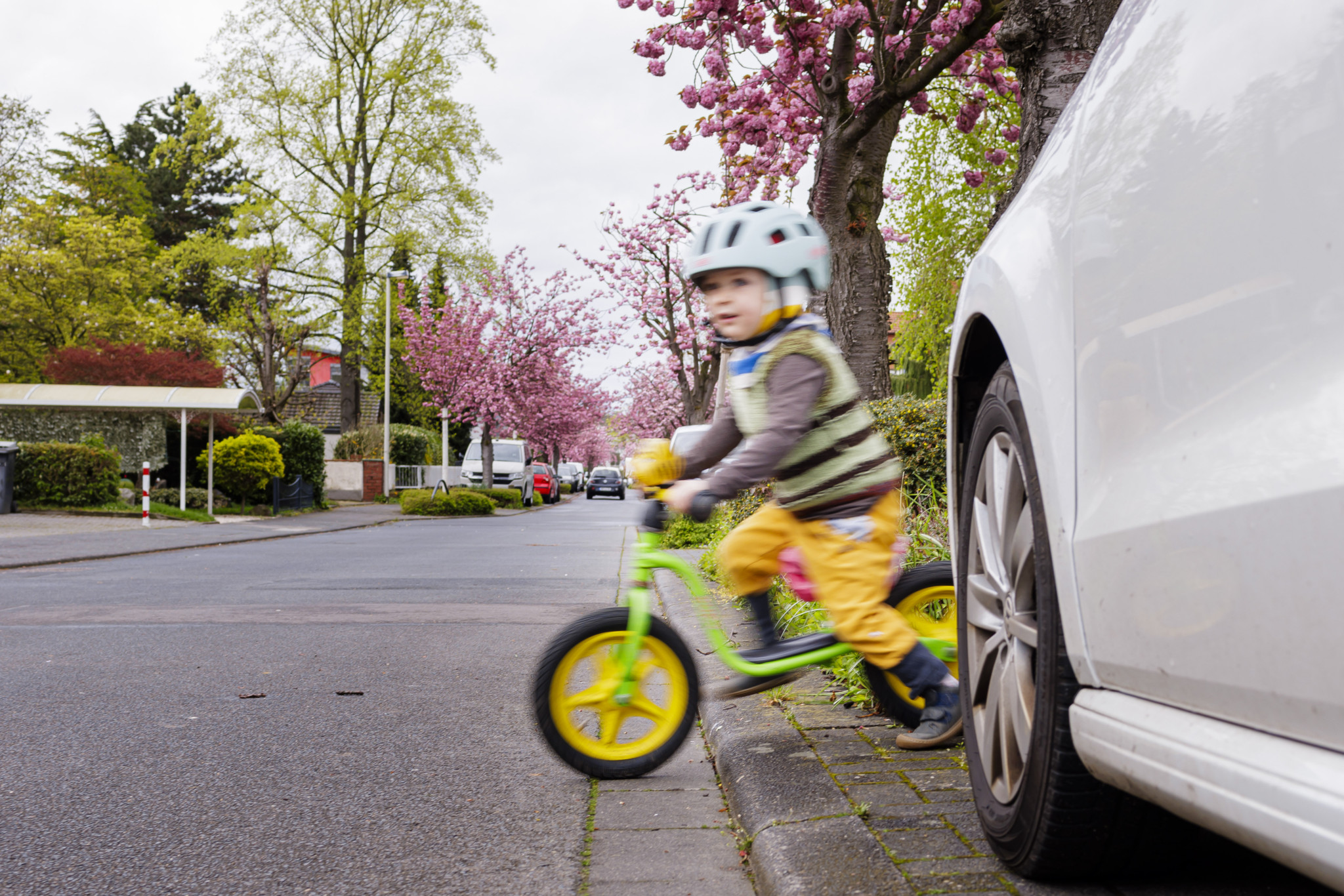 Dreijähriges Kind mit Helm fährt auf einem grünen Laufrad auf einem Gehweg in Bonn, neben einem geparkten Auto und blühenden Kirschbäumen. Dreijähriges Kind mit Helm fährt auf einem grünen Laufrad auf einem Gehweg in Bonn, neben einem geparkten Auto und blühenden Kirschbäumen.