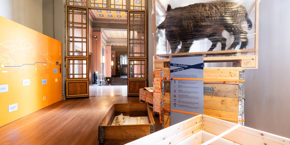 Z-gelaktion-der-Extraklasse-Das-Naturhistorische-Museum-bringt-12-Millionen-Objekte-an-den-neuen-Standort
