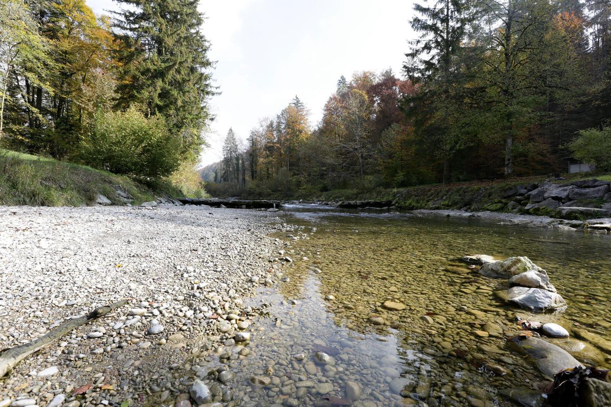 Die Töss wird befreit Mehr Platz zum Erholen Der Landbote