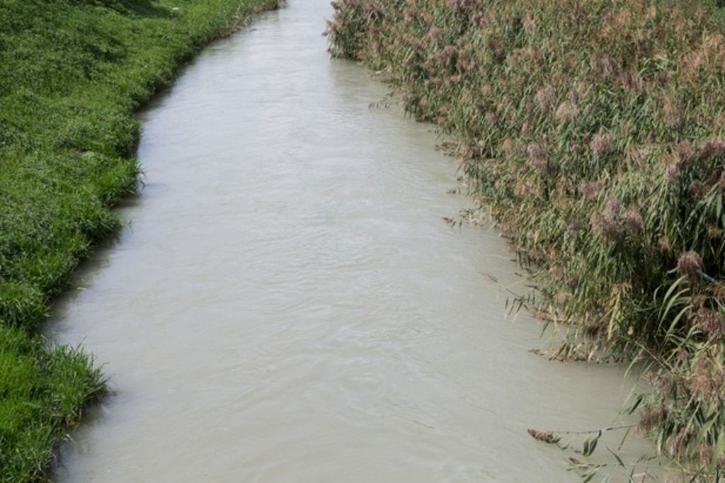 Accusée de pollution des eaux, Lonza est acquittée