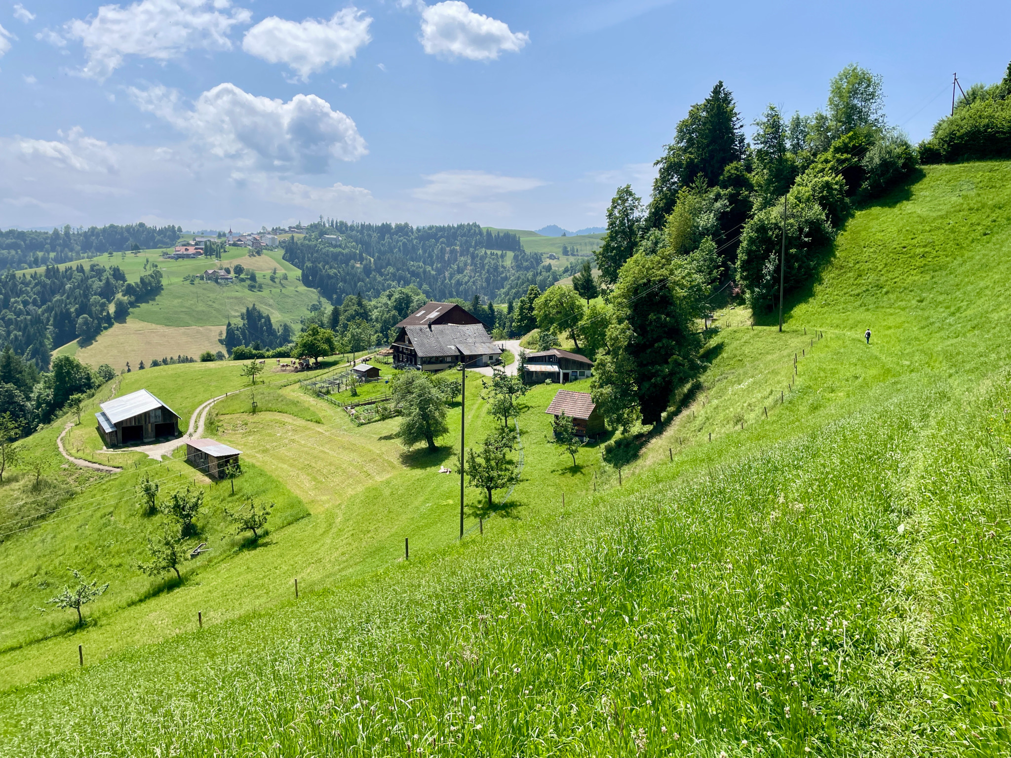 Hof Tschoppen bei Wolhusen: Grüne Hügellandschaft mit traditionellen Bauernhäusern und Obstbäumen unter blauem Himmel. Hof Tschoppen bei Wolhusen: Grüne Hügellandschaft mit traditionellen Bauernhäusern und Obstbäumen unter blauem Himmel.