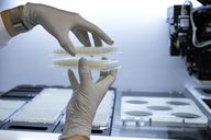 Quartalszahlen: Molecular Partners hat höheren Finanzierungsbedarf