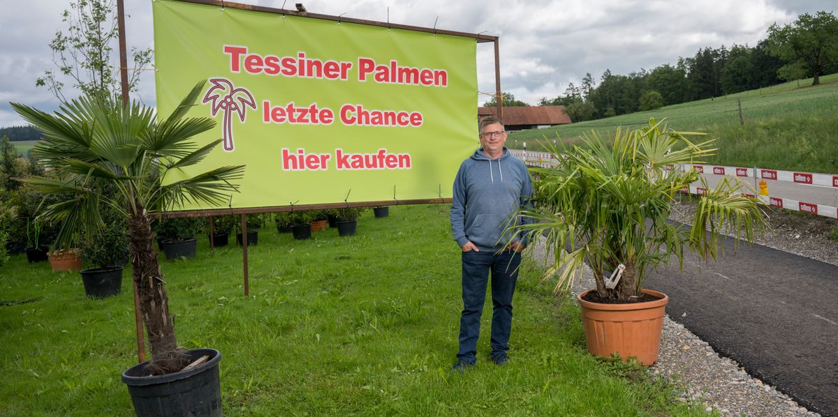 Geschaeftsfuehrer Gartenpark Forch Christian Weber vor dem Plakat welches auf den drohenden Verkaufsstop von Tessiner Palmen aufmerksam macht.

Foto: Michael Trost / Tamedia AG.