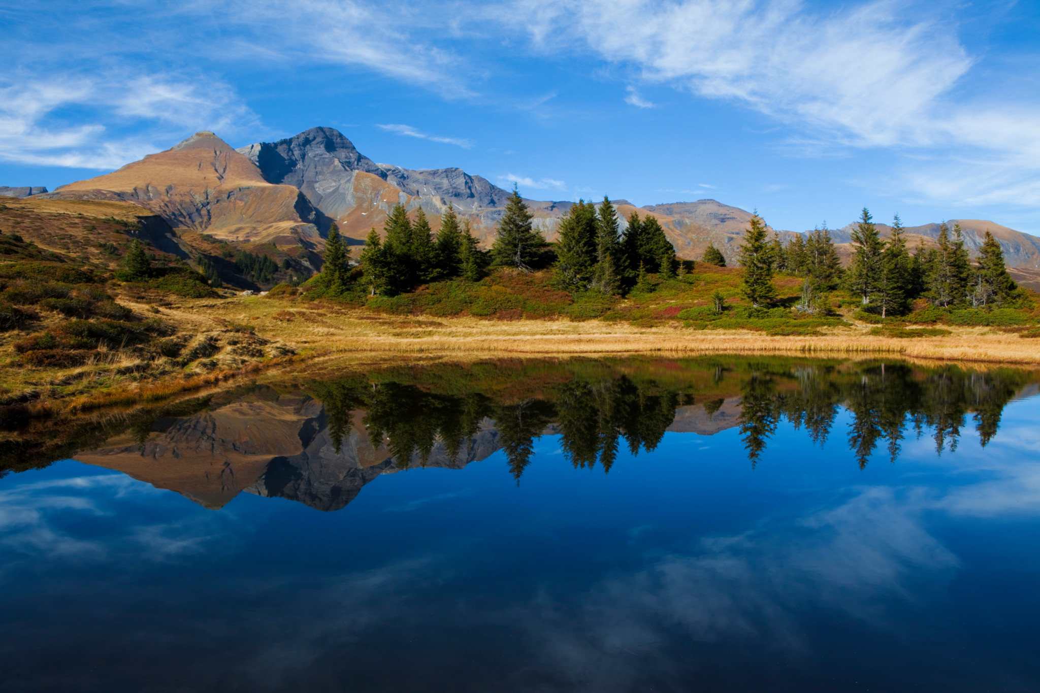 Spiegelglatter Bergsee im Berner Oberland mit Tannen und Bergpanorama unter blauem Himmel im Herbst