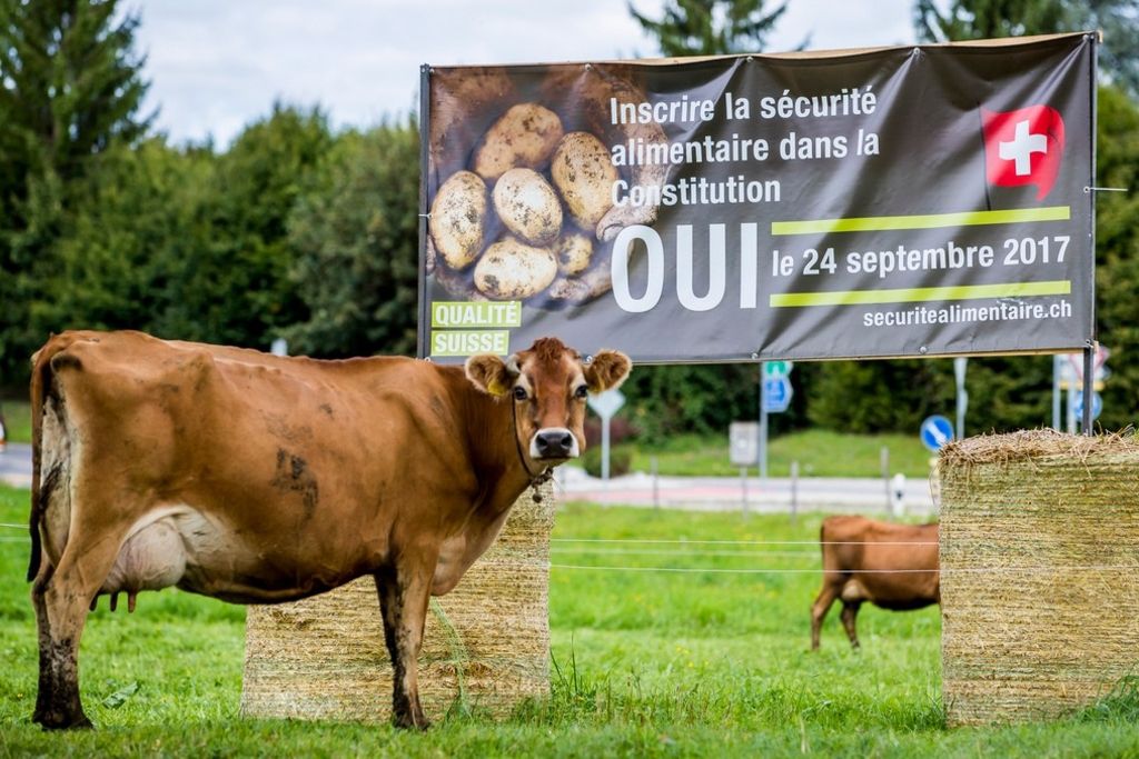 Deux initiatives agricoles décriées par des paysans