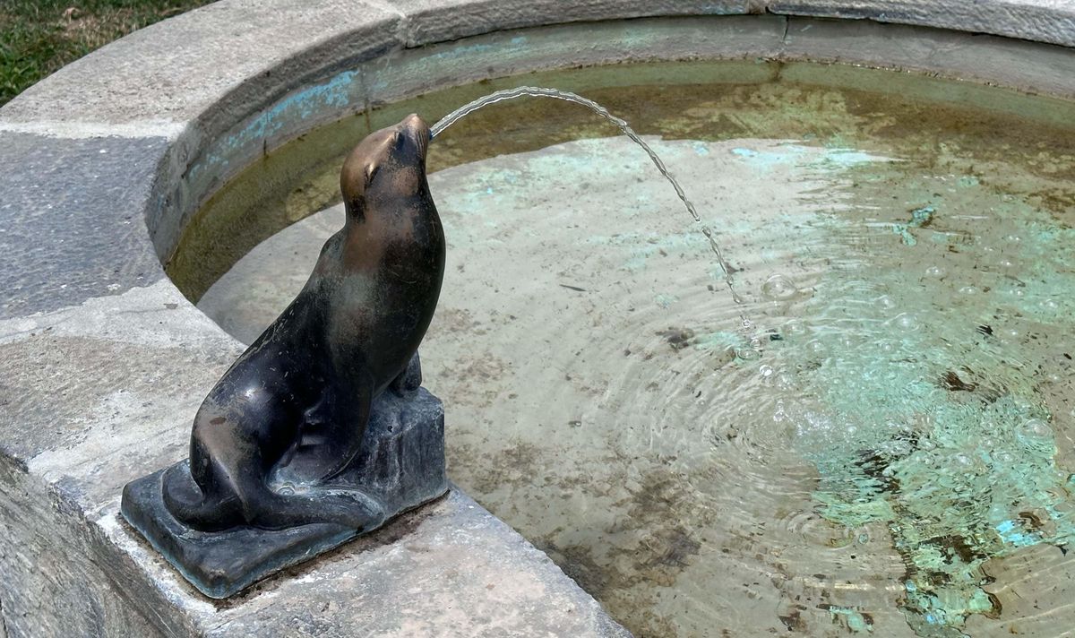 Il y a quelques jours, une otarie du Locle (NE) a failli disparaître de la fontaine où elle trônait depuis des décennies.