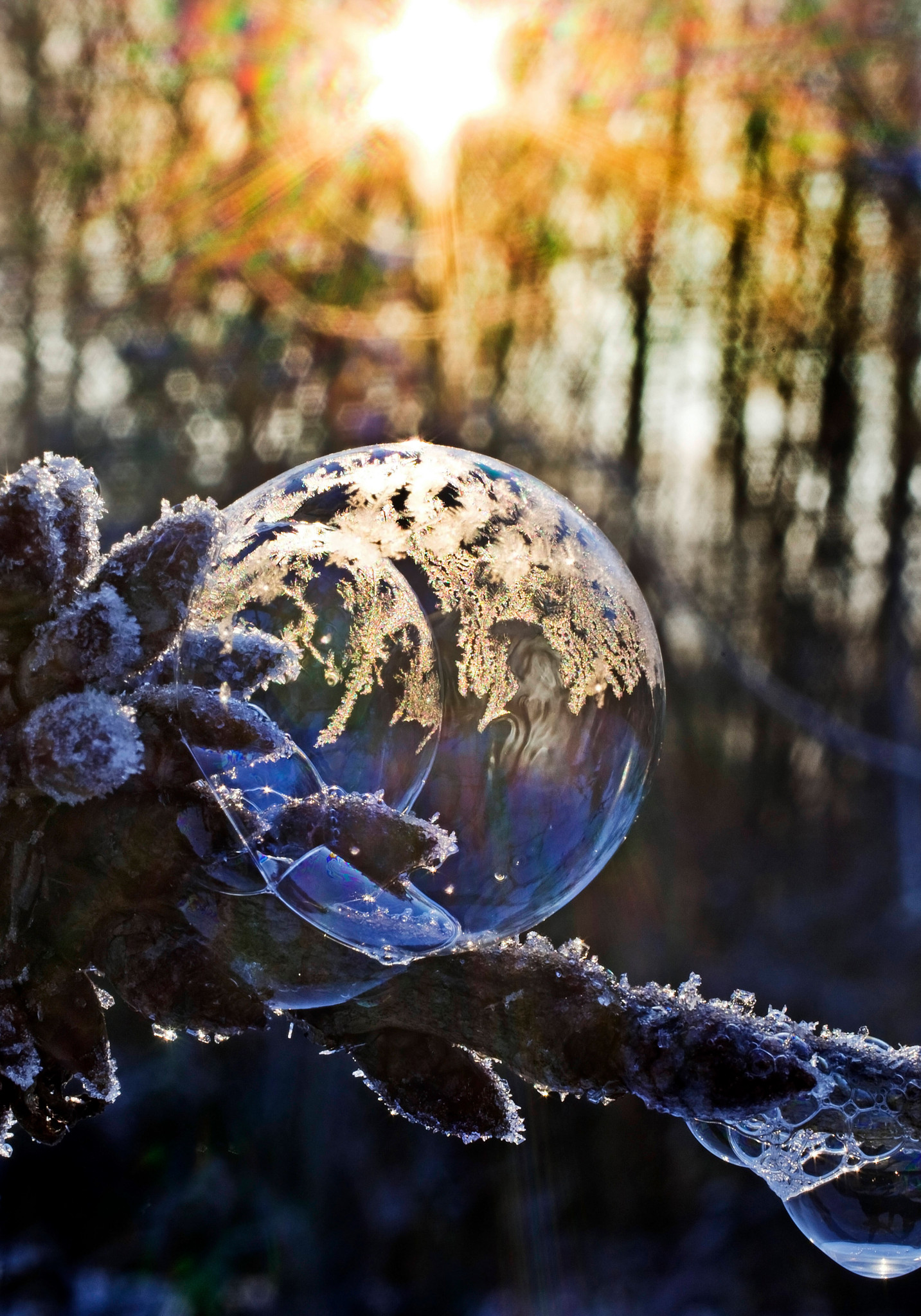 Gefrierende Seifenblase mit Eiskristallen, Deutschland freezing soap bubble with ice crystals, Germany BLWS639755 *** Freezing soap bubble with ice crystals, Germany BLWS639755 Copyright: xblickwinkel/S.xZiesex 