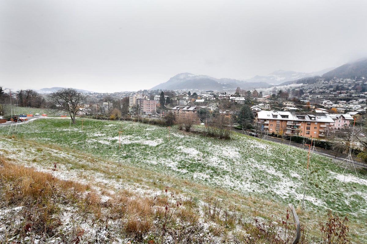 Une forêt de gabarits montre l’emprise du projet immobilier des Grands-Prés sur la parcelle de verdure entre Clarens et Chailly.