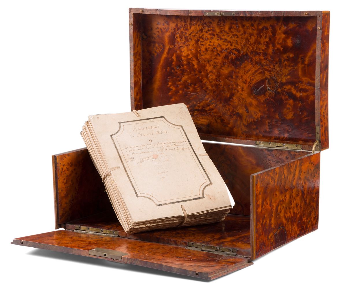 Un herbier disparu de Rousseau va ressusciter à Genève