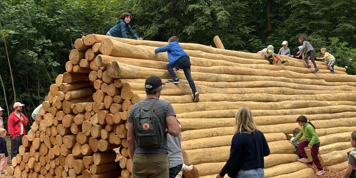 Jubil-um-im-Hardwald-Zwischen-Baumsterben-und-Aufbruch-B-rgergemeinde-plant-den-Stadtwald-