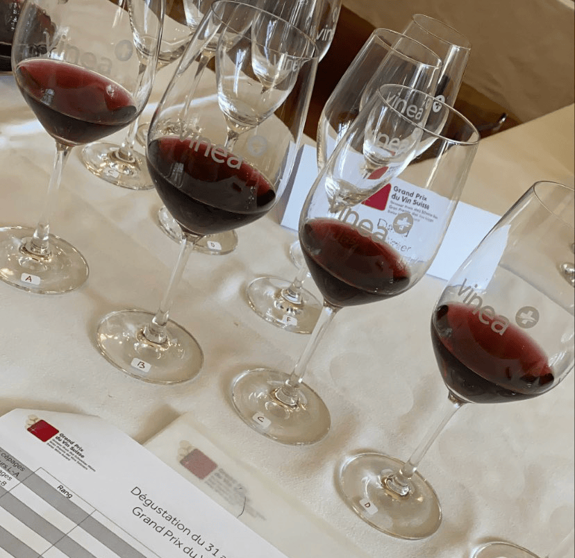 Six verres, un crachoir, une fiche et une matinée à déguster.