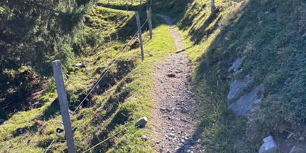 Unfall in Glarus Nord: 75-Jähriger stürzt auf Biketrail mit E-Bike und stirbt