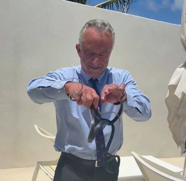 US-Gesundheitsminister in Florida: Kennedys Frau fleht ihn an aufzuhören – während er Schlangen in die Kamera hält