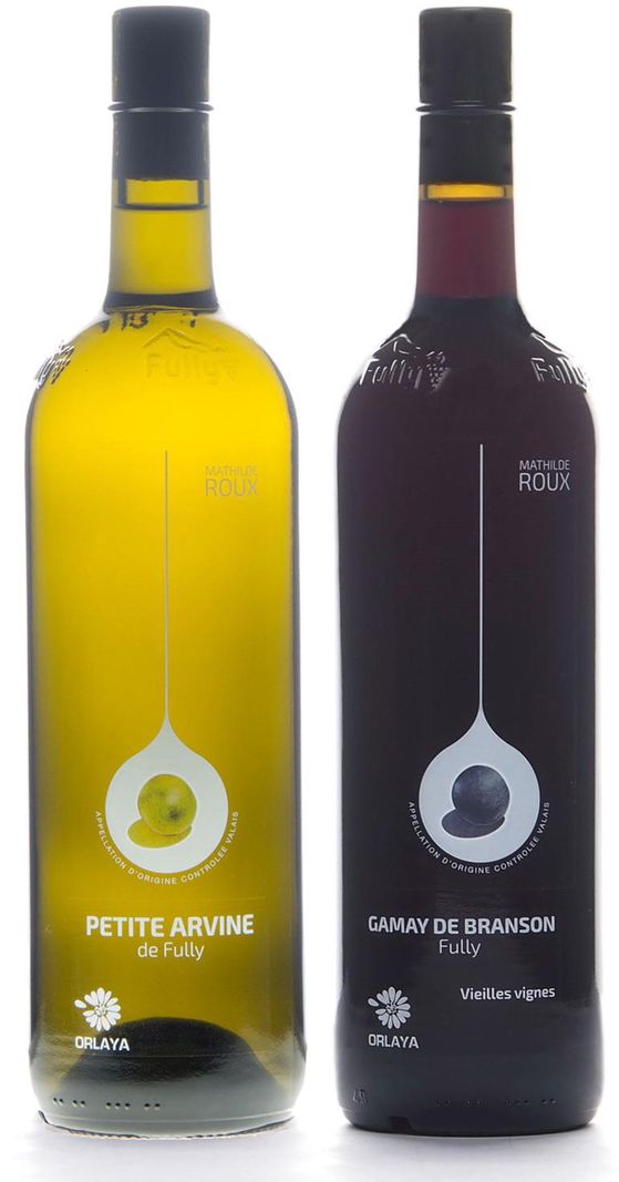 Mathilde Roux est remontée le Rhône jusqu’à l’Orlaya