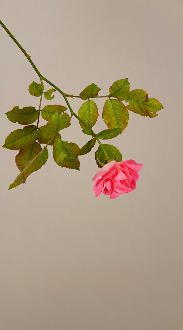 Cinq expos à se mettre sous l’œil en février