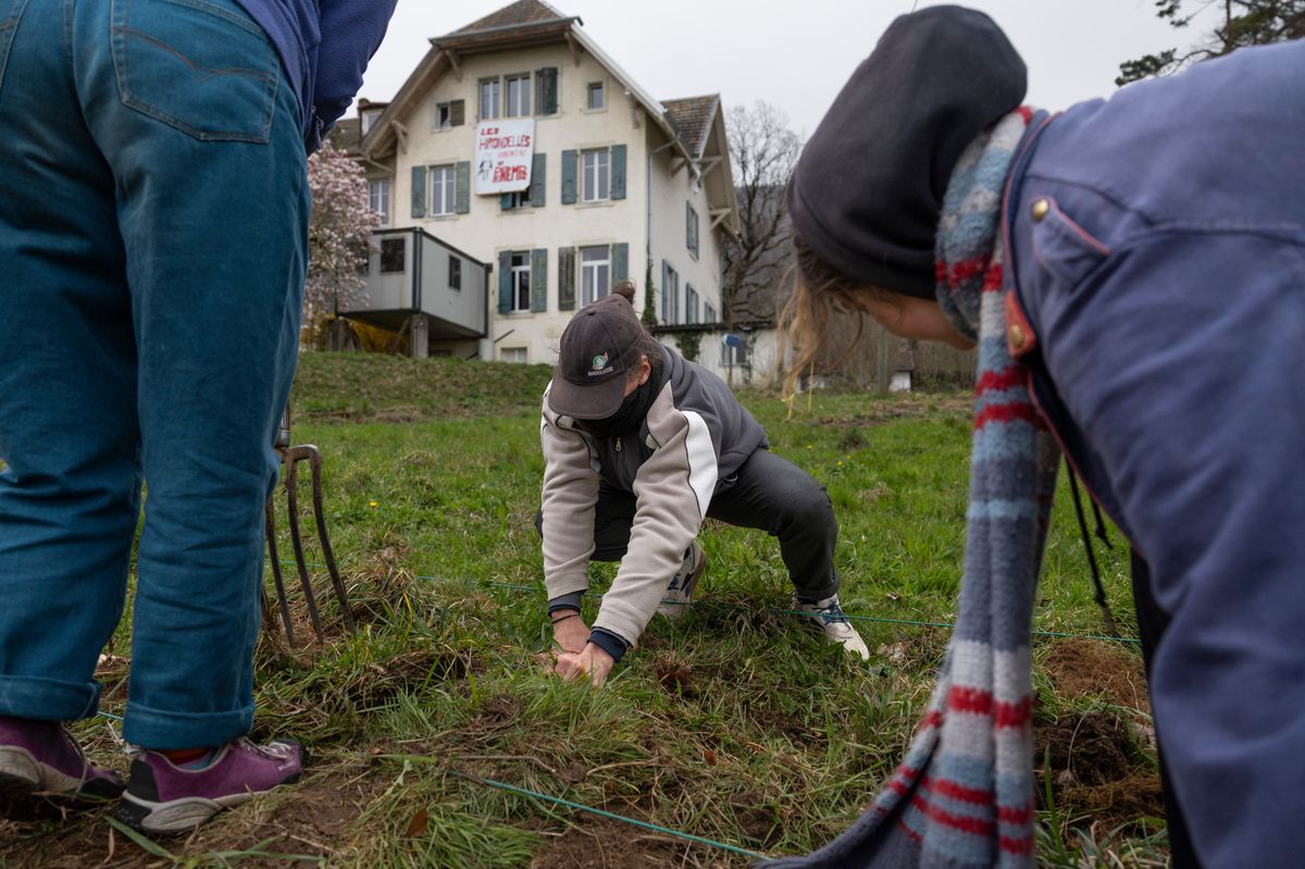 Le collectif les Hirondelles s’installe à Pontareuse pour y développer un projet d’expérimentation agricole.

Boudry, le 30 mars 2024
Photo: Muriel Antille