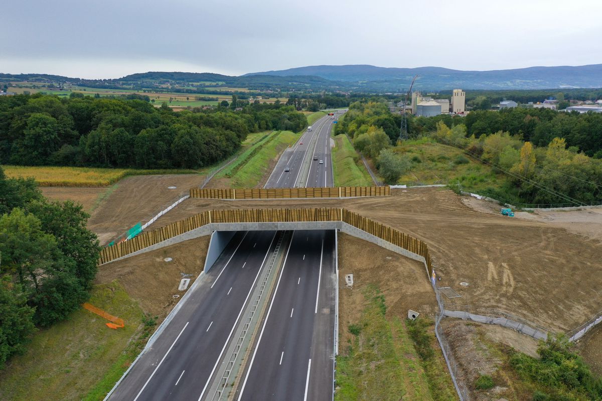 La jeune femme a percuté un camion frigorifique près de l’aire de repos d’Étaux, sur le territoire de la commune de Filière, et est décédée sur le coup.