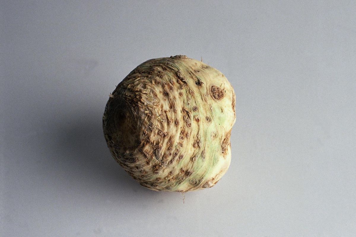 Mon céleri amuse la papill…ote