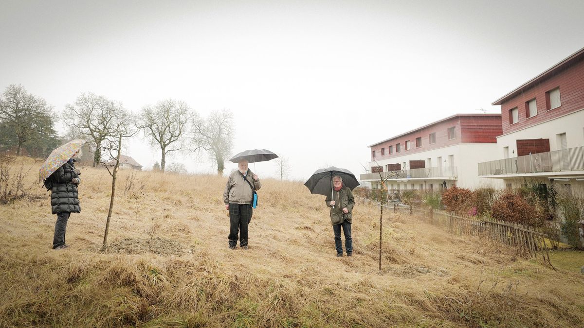 Le président de l’association des habitants de Satigny (à droite), accompagné de membres de l’association. Les arbres plantés devront faire place à un immeuble de 18 logements. 