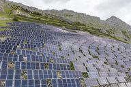 Energiepolitik: Solarförderung ist 80% gesunken, und der Ausbau boomt trotzdem