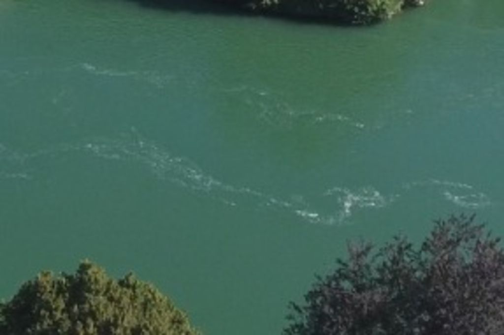 Il se noie en voulant descendre le Rhin