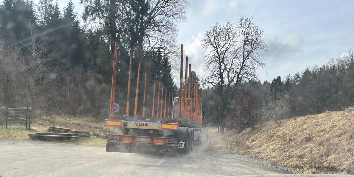 Waldkauf-in-Deutschland-Wie-die-Schweizer-Post-ein-Dorf-in-Th-ringen-aufw-hlt